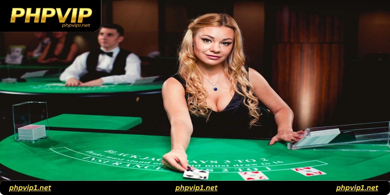 Live Casino Platforms: What to Look For