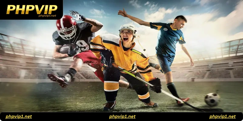 Importance of Risk Management in Sports Betting