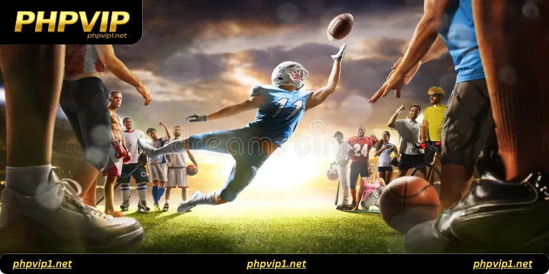 Comparing Sports Betting Platforms