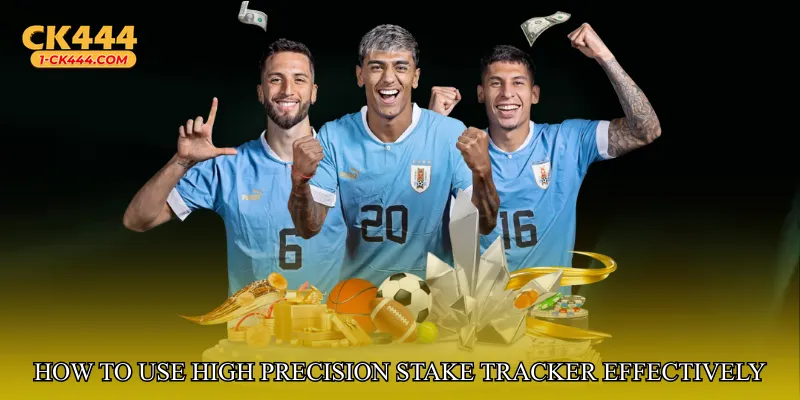 How to Use High Precision Stake Tracker Effectively