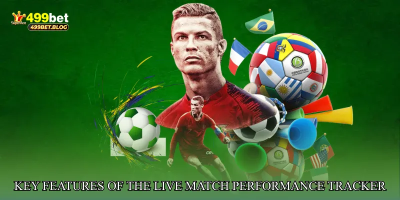 Key Features of the Live Match Performance Tracker