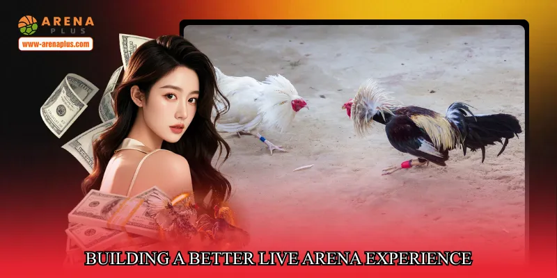 Building a better live arena experience