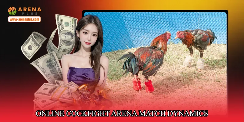 Online cockfight arena match dynamics