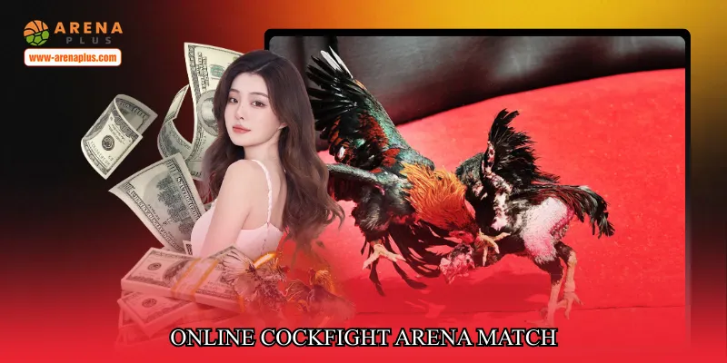 online cockfight arena match